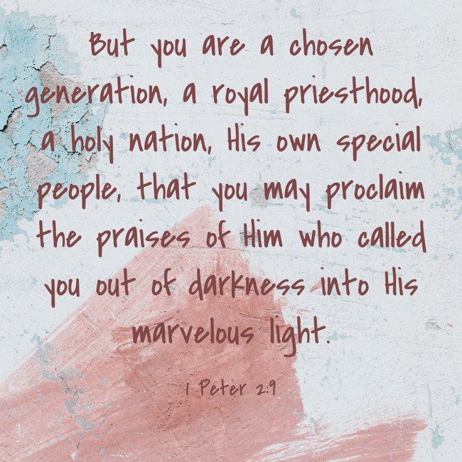 But you are a chosen generation, a royal priesthood, a holy nation, His own special people, that you may proclaim the praises of Him who called you out of darkness into His marvelous light. - 1 Peter 2:9