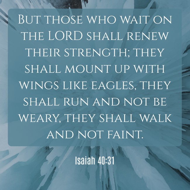 But those who wait on the LORD shall renew their strength; they shall mount up with wings like eagles, they shall run and not be weary, they shall walk and not faint. - Isaiah 40:31