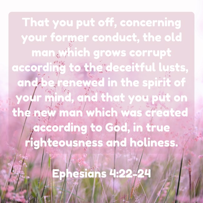 That you put off, concerning your former conduct, the old man which grows corrupt according to the deceitful lusts, and be renewed in the spirit of your mind, and that you put on the new man which was created according to God, in true righteousness and holiness. - Ephesians 4:22-24