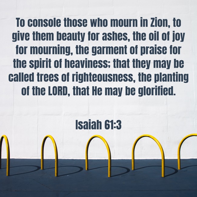To console those who mourn in Zion, to give them beauty for ashes, the oil of joy for mourning, the garment of praise for the spirit of heaviness; that they may be called trees of righteousness, the planting of the LORD, that He may be glorified. - Isaiah 61:3