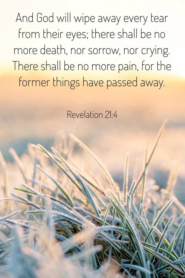 And God will wipe away every tear from their eyes; there shall be no more death, nor sorrow, nor crying. There shall be no more pain, for the former things have passed away. - Revelation 21:4
