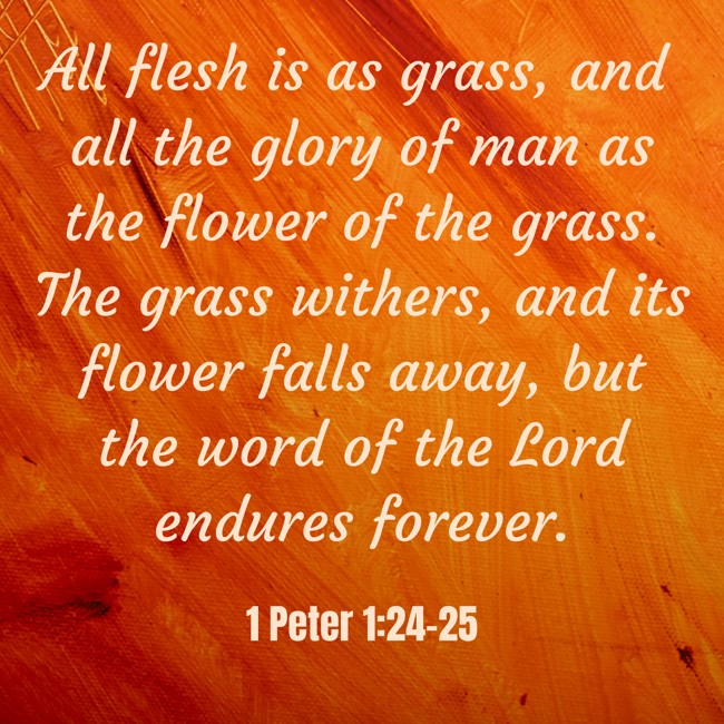 All flesh is as grass, and all the glory of man as the flower of the grass. The grass withers, and its flower falls away, but the word of the Lord endures forever. - 1 Peter 1:24-25