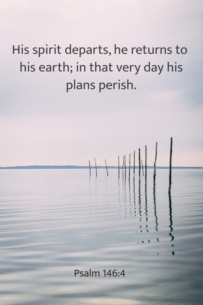 His spirit departs, he returns to his earth; in that very day his plans perish. - Psalm 146:4