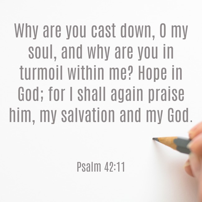 Why are you cast down, O my soul, and why are you in turmoil within me? Hope in God; for I shall again praise him, my salvation and my God. - Psalm 42:11