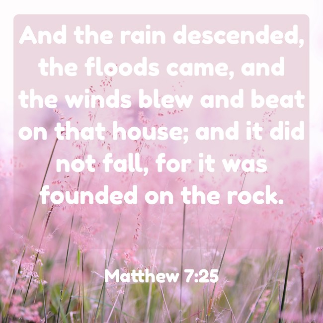 And the rain descended, the floods came, and the winds blew and beat on that house; and it did not fall, for it was founded on the rock. - Matthew 7:25