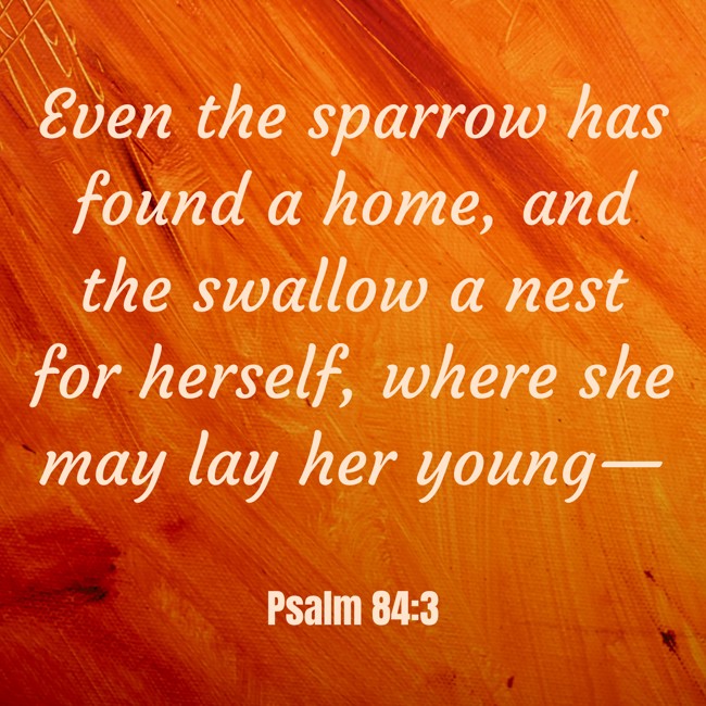Even the sparrow has found a home, and the swallow a nest for herself, where she may lay her young— - Psalm 84:3
