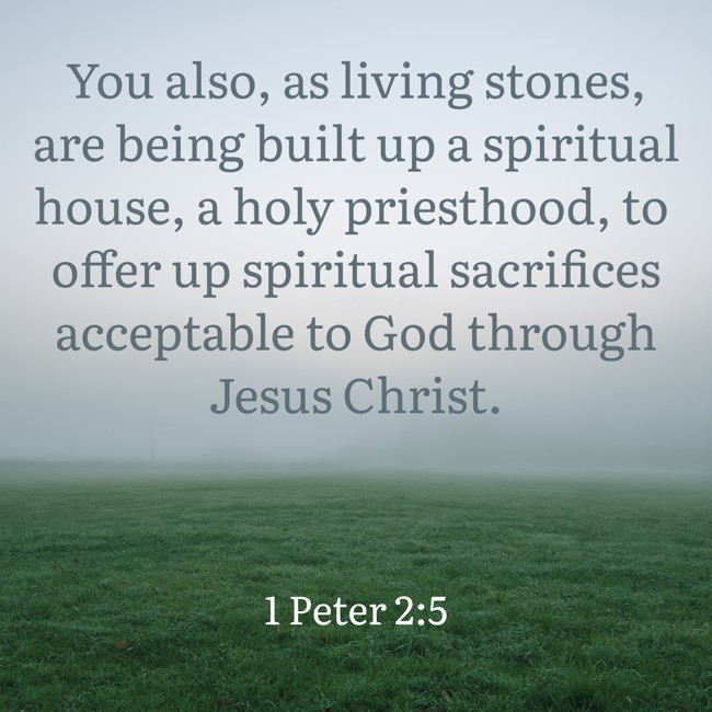 You also, as living stones, are being built up a spiritual house, a holy priesthood, to offer up spiritual sacrifices acceptable to God through Jesus Christ. - 1 Peter 2:5