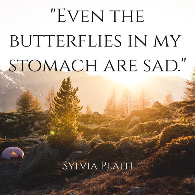 Even the butterflies in my stomach are sad. - Sylvia Plath