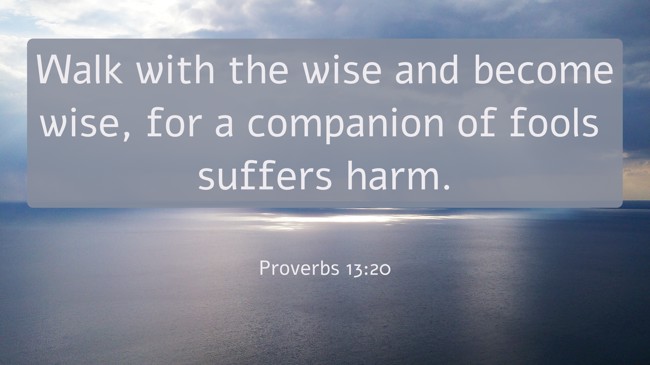  Walk with the wise and become wise, for a companion of fools suffers harm.   - Proverbs 13:20 
