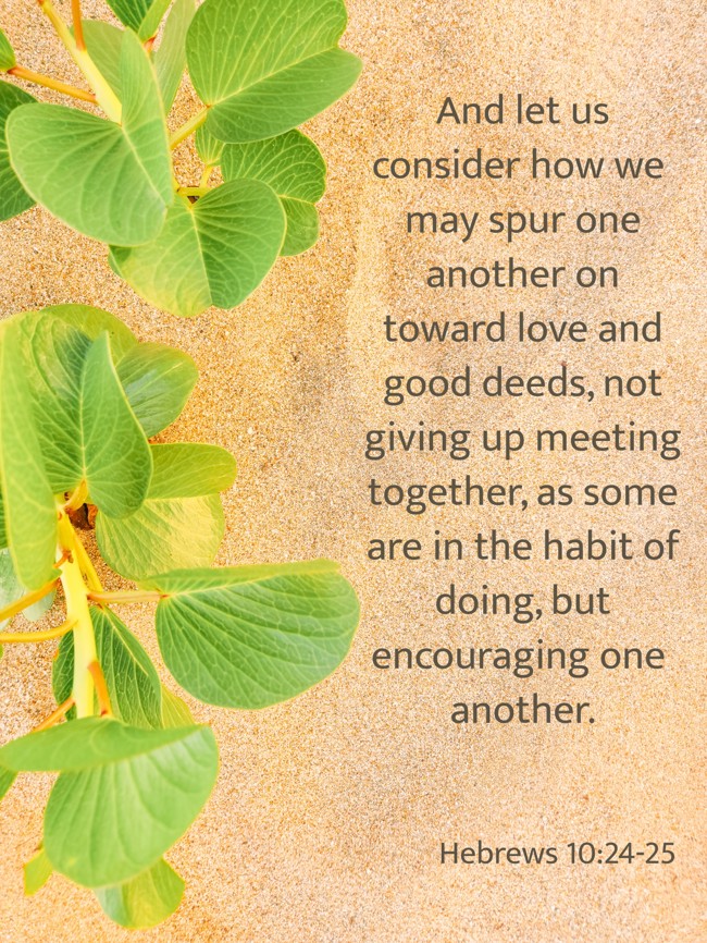  And let us consider how we may spur one another on toward love and good deeds, not giving up meeting together, as some are in the habit of doing, but encouraging one another.   - Hebrews 10:24-25 