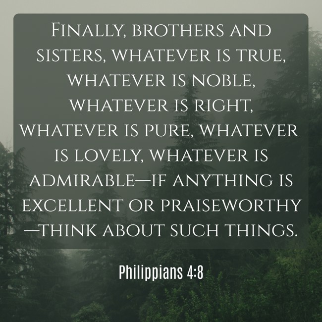 Finally, brothers and sisters, whatever is true, whatever is noble, whatever is right, whatever is pure, whatever is lovely, whatever is admirable—if anything is excellent or praiseworthy—think about such things.   - Philippians 4:8 