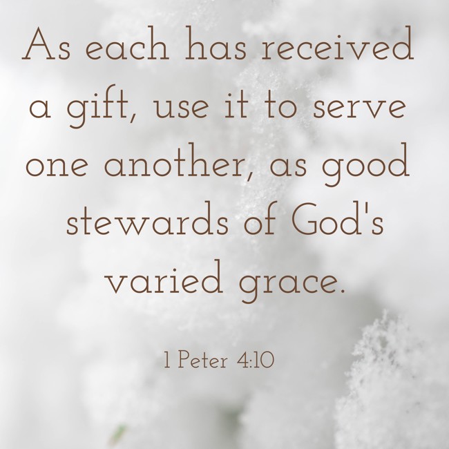 As each has received a gift, use it to serve one another, as good stewards of God's varied grace. - 1 Peter 4:10