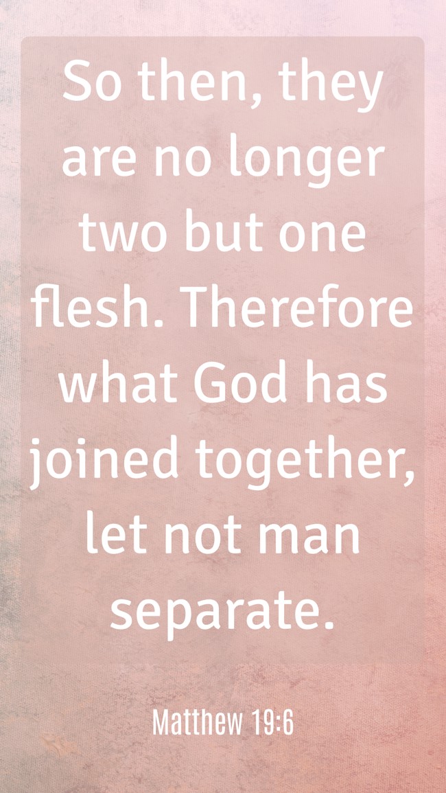 So then, they are no longer two but one flesh. Therefore what God has joined together, let not man separate. - Matthew 19:6