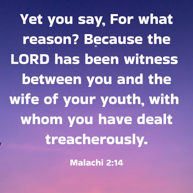 Yet you say, For what reason? Because the LORD has been witness between you and the wife of your youth, with whom you have dealt treacherously. - Malachi 2:14