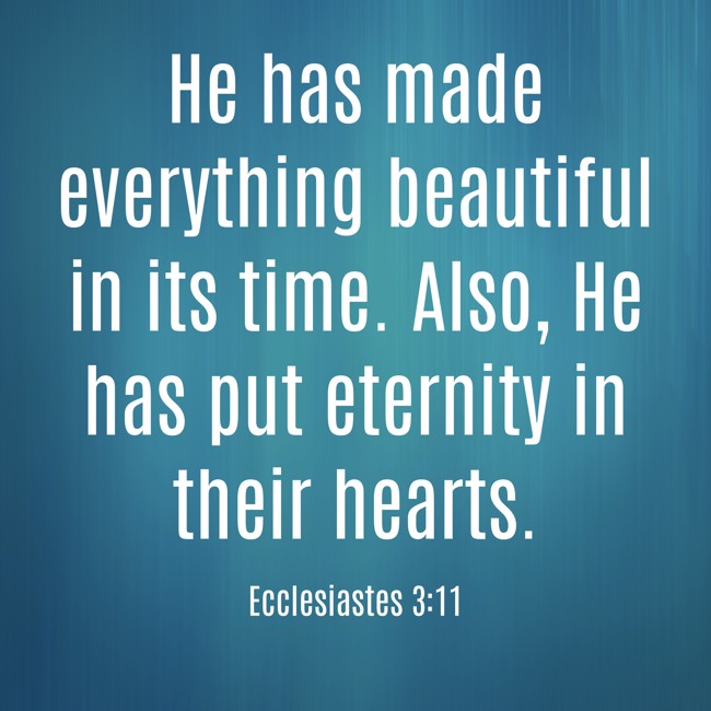 He has made everything beautiful in its time. Also, He has put eternity in their hearts. - Ecclesiastes 3:11