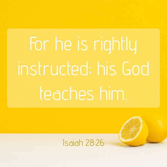 For he is rightly instructed; his God teaches him. - Isaiah 28:26