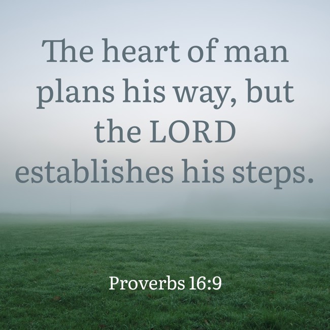 The heart of man plans his way, but the LORD establishes his steps. - Proverbs 16:9