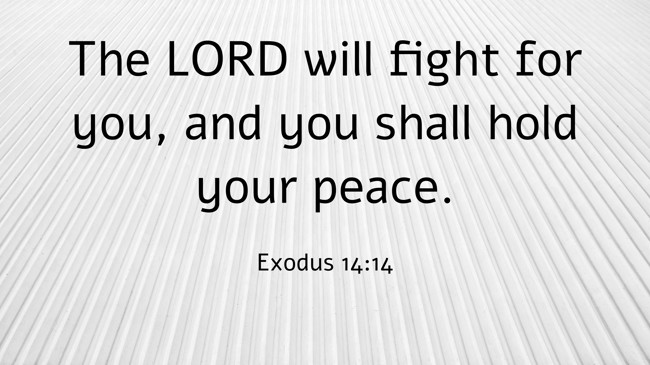 The LORD will fight for you, and you shall hold your peace. - Exodus 14:14