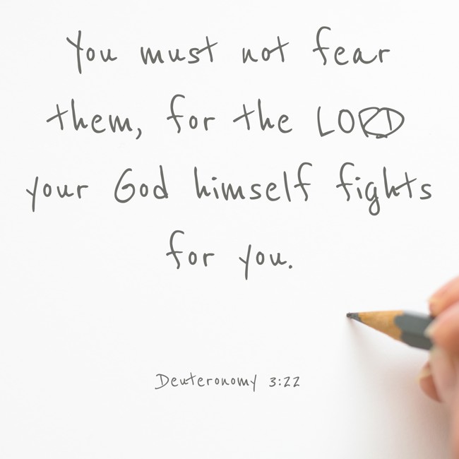 You must not fear them, for the LORD your God himself fights for you. - Deuteronomy 3:22