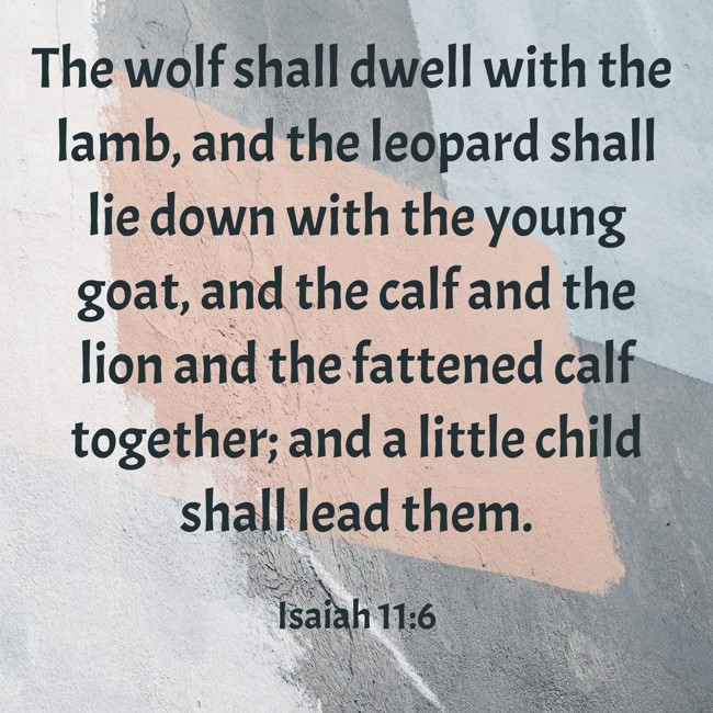 The wolf shall dwell with the lamb, and the leopard shall lie down with the young goat, and the calf and the lion and the fattened calf together; and a little child shall lead them. - Isaiah 11:6