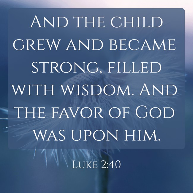 And the child grew and became strong, filled with wisdom. And the favor of God was upon him. - Luke 2:40