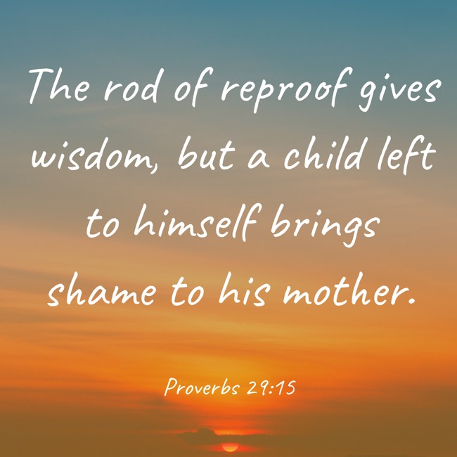 The rod of reproof gives wisdom, but a child left to himself brings shame to his mother. - Proverbs 29:15