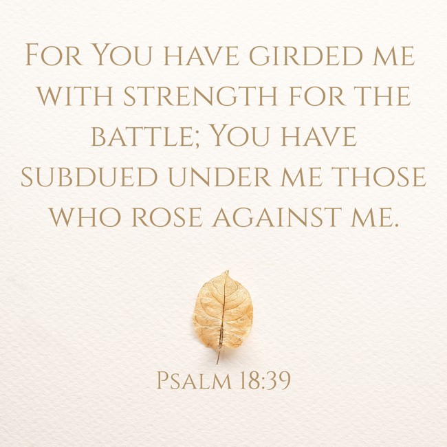 For You have girded me with strength for the battle; You have subdued under me those who rose against me. - Psalm 18:39