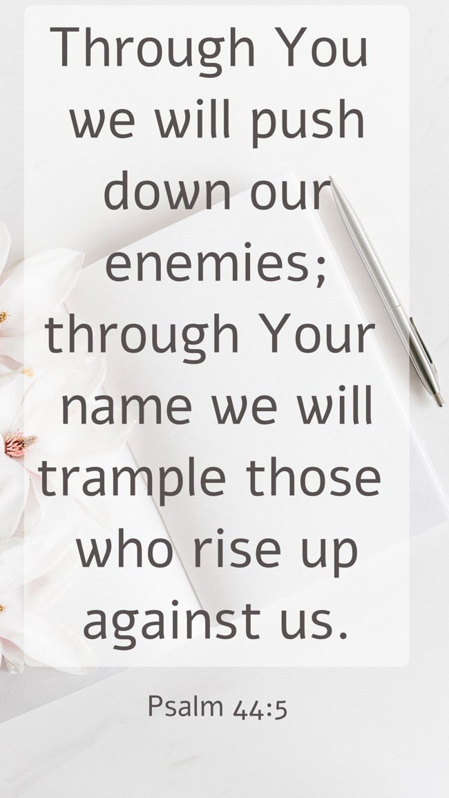 Through You we will push down our enemies; through Your name we will trample those who rise up against us. - Psalm 44:5