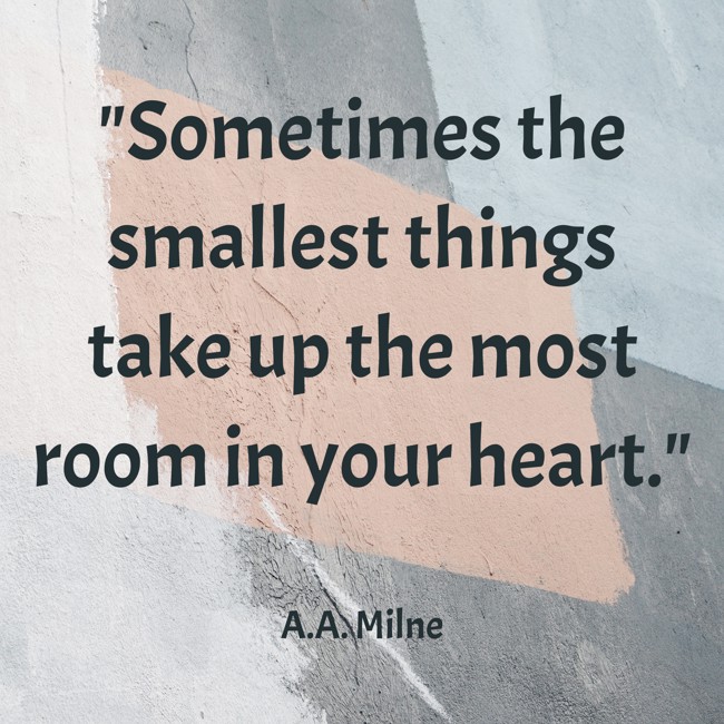 Sometimes the smallest things take up the most room in your heart. - A.A. Milne