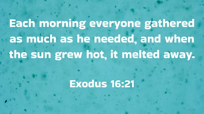  Each morning everyone gathered as much as he needed, and when the sun grew hot, it melted away.   - Exodus 16:21 