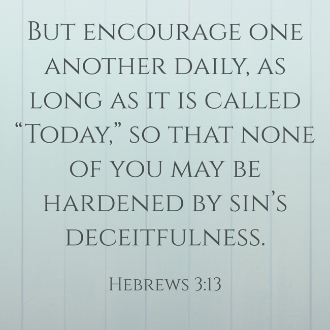 But encourage one another daily, as long as it is called “Today,” so that none of you may be hardened by sin’s deceitfulness.   - Hebrews 3:13 