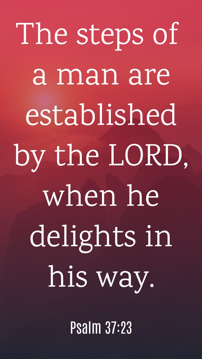  The steps of a man are established by the LORD, when he delights in his way.   - Psalm 37:23 