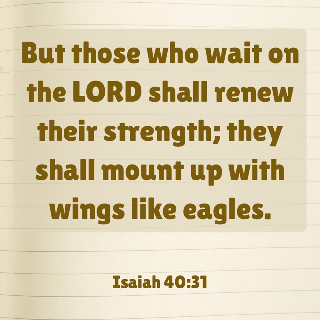 But those who wait on the LORD shall renew their strength; they shall mount up with wings like eagles. - Isaiah 40:31