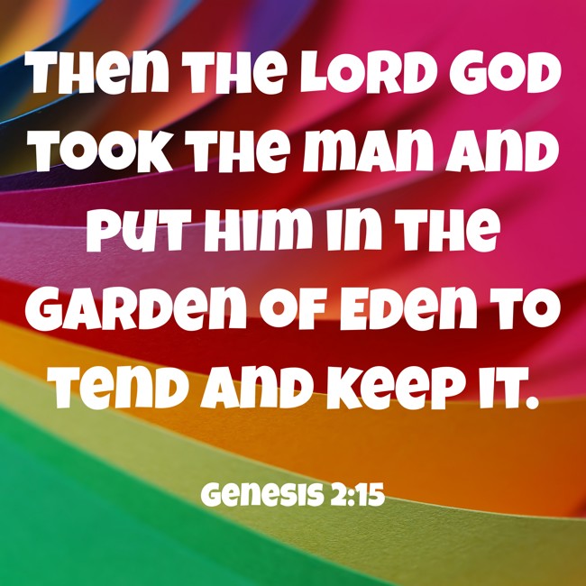 Then the LORD God took the man and put him in the Garden of Eden to tend and keep it. - Genesis 2:15