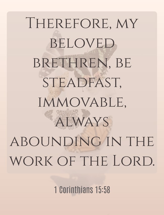 Therefore, my beloved brethren, be steadfast, immovable, always abounding in the work of the Lord. - 1 Corinthians 15:58