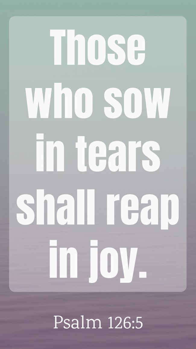 Those who sow in tears shall reap in joy. - Psalm 126:5