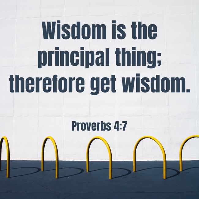 Wisdom is the principal thing; therefore get wisdom. - Proverbs 4:7
