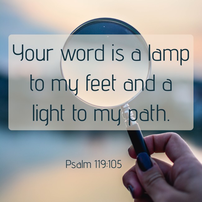 Your word is a lamp to my feet and a light to my path. - Psalm 119:105