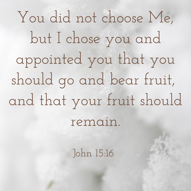 You did not choose Me, but I chose you and appointed you that you should go and bear fruit, and that your fruit should remain. - John 15:16