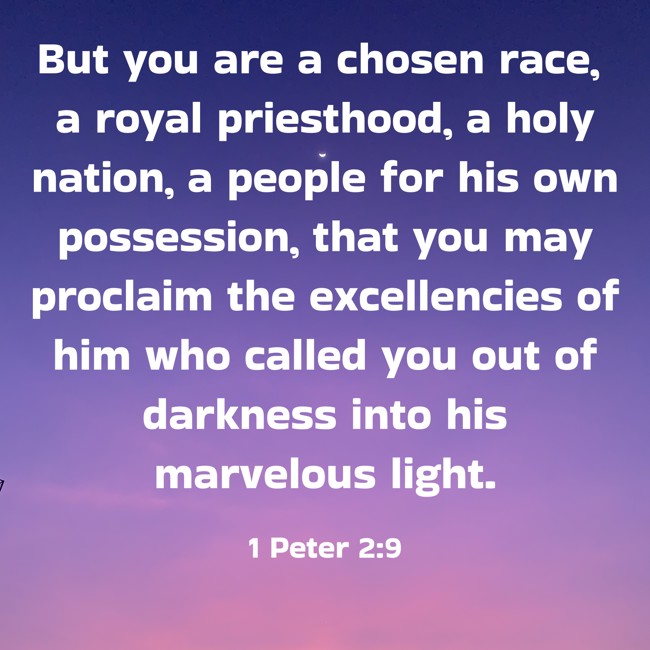 But you are a chosen race, a royal priesthood, a holy nation, a people for his own possession, that you may proclaim the excellencies of him who called you out of darkness into his marvelous light. - 1 Peter 2:9