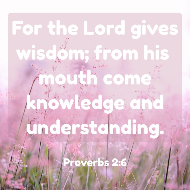 For the Lord gives wisdom; from his mouth come knowledge and understanding. - Proverbs 2:6