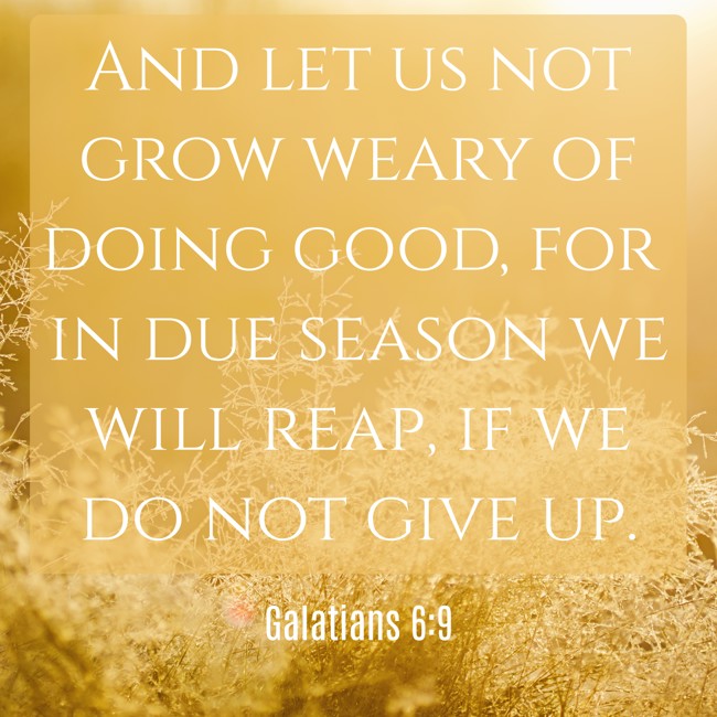 And let us not grow weary of doing good, for in due season we will reap, if we do not give up. - Galatians 6:9