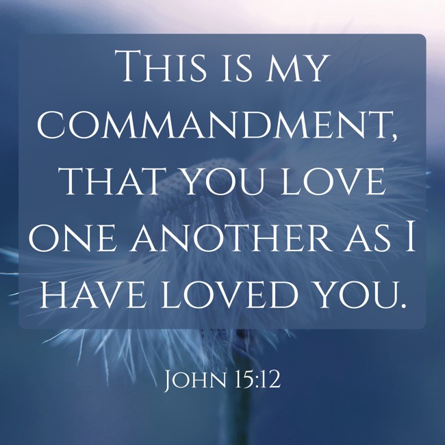 This is my commandment, that you love one another as I have loved you. - John 15:12