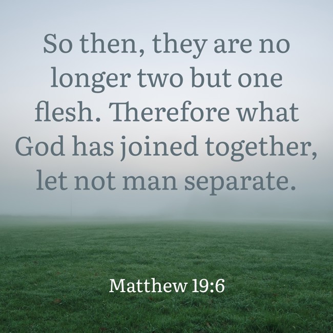 So then, they are no longer two but one flesh. Therefore what God has joined together, let not man separate. - Matthew 19:6