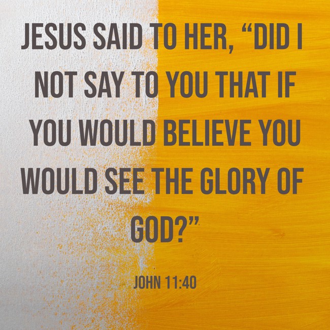 Jesus said to her, “Did I not say to you that if you would believe you would see the glory of God?” - John 11:40