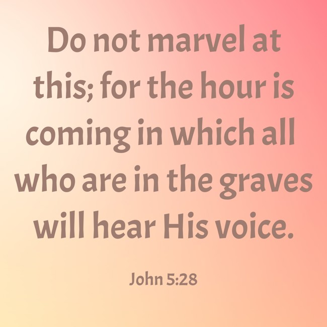 Do not marvel at this; for the hour is coming in which all who are in the graves will hear His voice. - John 5:28