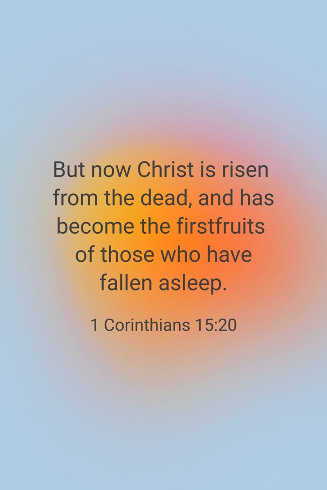 But now Christ is risen from the dead, and has become the firstfruits of those who have fallen asleep. - 1 Corinthians 15:20