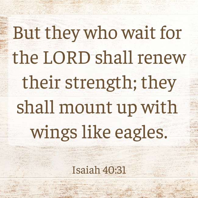 But they who wait for the LORD shall renew their strength; they shall mount up with wings like eagles. - Isaiah 40:31