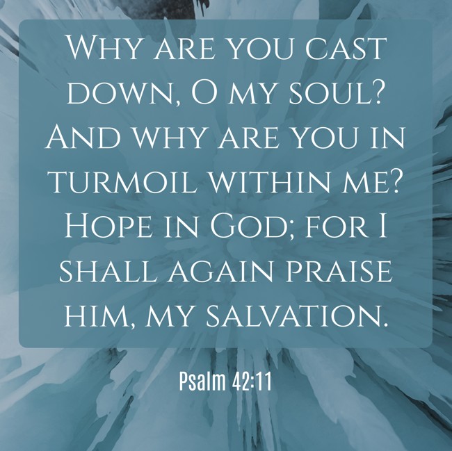 Why are you cast down, O my soul? And why are you in turmoil within me? Hope in God; for I shall again praise him, my salvation. - Psalm 42:11