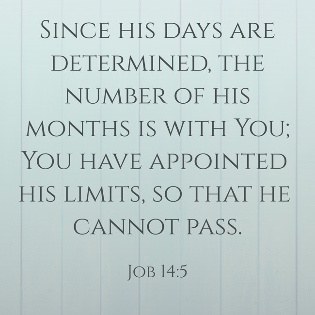 Since his days are determined, the number of his months is with You; You have appointed his limits, so that he cannot pass. - Job 14:5